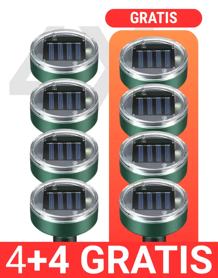 order-image